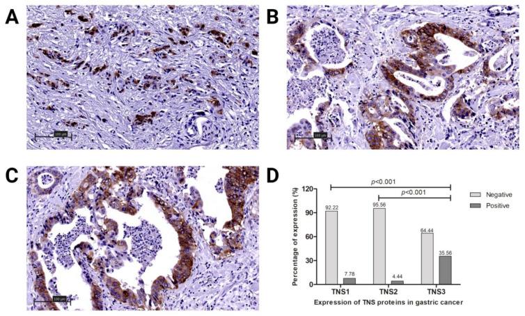 https://cdn.ncbi.nlm.nih.gov/pmc/blobs/5eff/8146480/6947bdedab1d/biomolecules-11-00640-g001.jpg