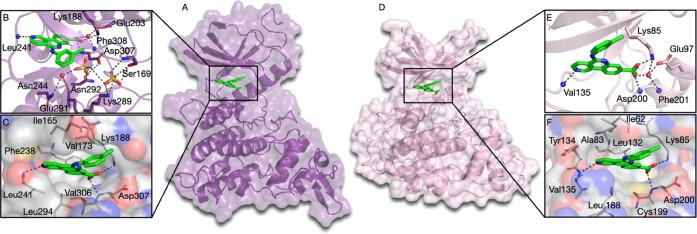 https://cdn.ncbi.nlm.nih.gov/pmc/blobs/5f00/10041529/0ccfd7f63161/jm2c01887_0003.jpg