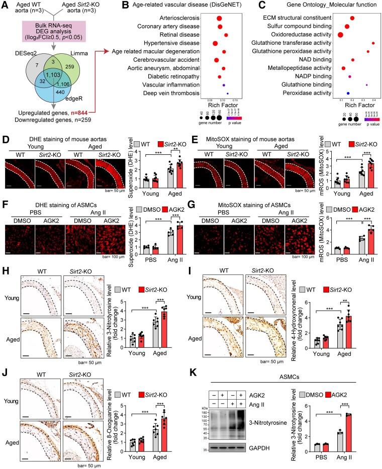 https://cdn.ncbi.nlm.nih.gov/pmc/blobs/5f01/10393077/506dc1ad83ef/ehad381f3.jpg