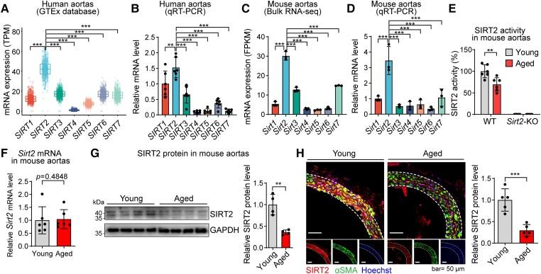 https://cdn.ncbi.nlm.nih.gov/pmc/blobs/5f01/10393077/a0655e3fcf06/ehad381f1.jpg