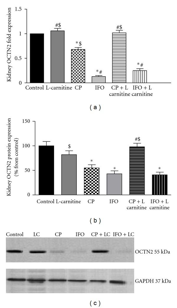 https://cdn.ncbi.nlm.nih.gov/pmc/blobs/5f01/3369488/ae8392da007a/OXIMED2012-452902.005.jpg