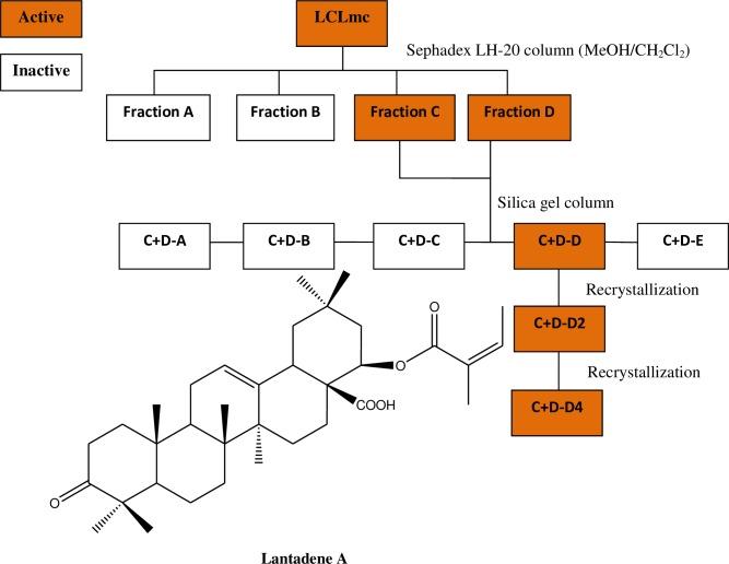 https://cdn.ncbi.nlm.nih.gov/pmc/blobs/5f01/6016949/a795aa3a917d/pntd.0006565.g001.jpg