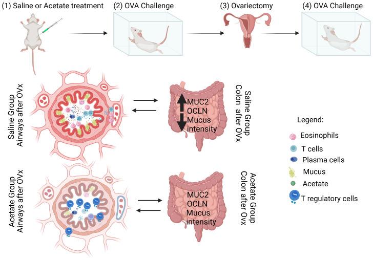 https://cdn.ncbi.nlm.nih.gov/pmc/blobs/5f02/12023485/1b9eeb5f8a78/fcimb-15-1543822-g006.jpg