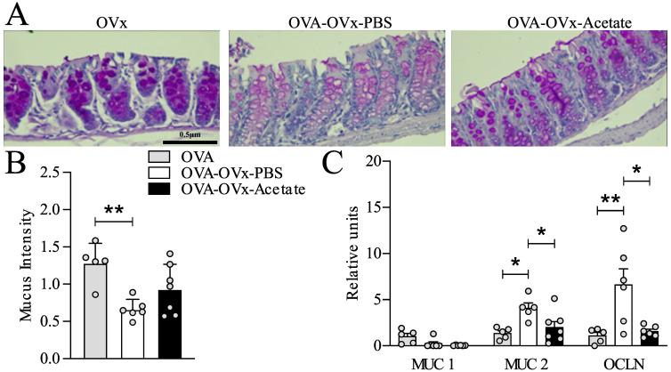 https://cdn.ncbi.nlm.nih.gov/pmc/blobs/5f02/12023485/bb53c8bf4f24/fcimb-15-1543822-g005.jpg