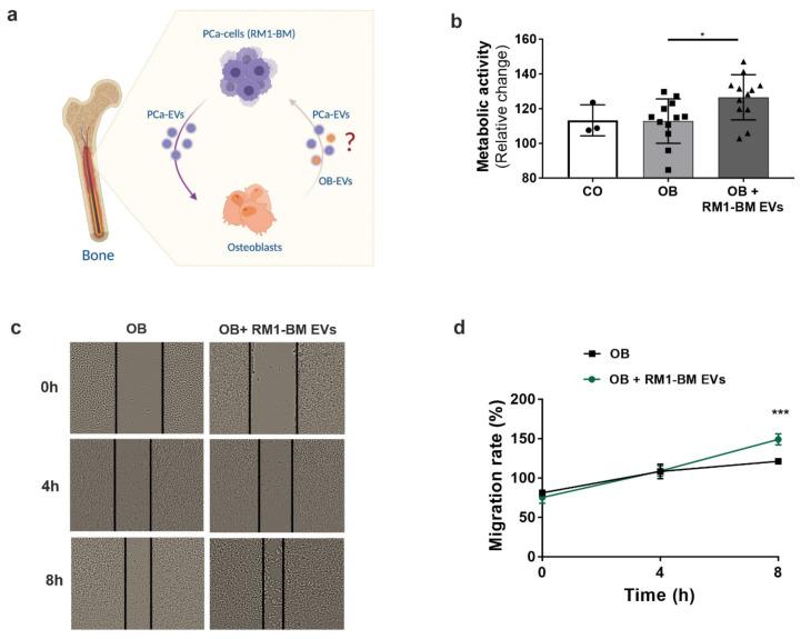 https://cdn.ncbi.nlm.nih.gov/pmc/blobs/5f03/8836054/c73cf1d867c2/ijms-23-01285-g006.jpg