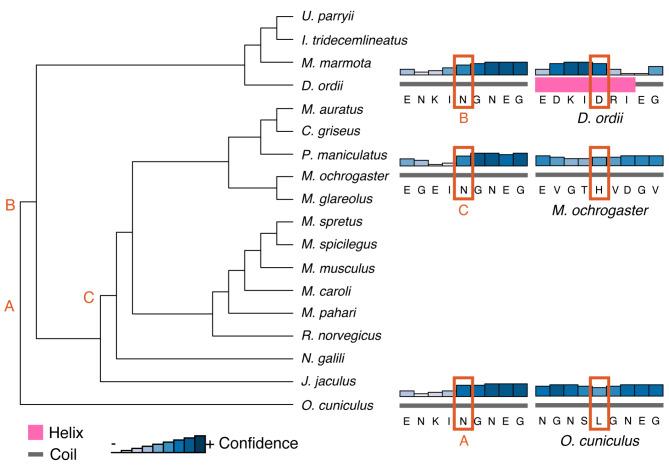 https://cdn.ncbi.nlm.nih.gov/pmc/blobs/5f04/11523675/017a90e0fd26/12864_2024_10901_Fig7_HTML.jpg