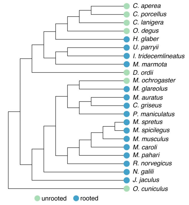 https://cdn.ncbi.nlm.nih.gov/pmc/blobs/5f04/11523675/13df7d365d62/12864_2024_10901_Fig1_HTML.jpg