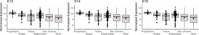 https://cdn.ncbi.nlm.nih.gov/pmc/blobs/5f04/11523675/44b11cbecd84/12864_2024_10901_Fig3_HTML.jpg