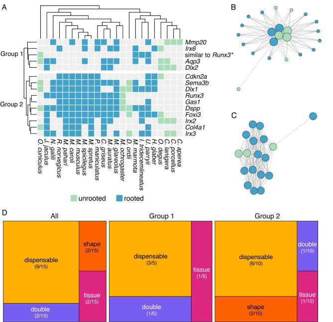 https://cdn.ncbi.nlm.nih.gov/pmc/blobs/5f04/11523675/d1548263788f/12864_2024_10901_Fig4_HTML.jpg