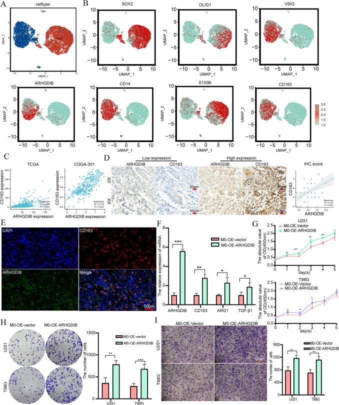 https://cdn.ncbi.nlm.nih.gov/pmc/blobs/5f07/12081808/63be44623efb/262_2025_4063_Fig6_HTML.jpg