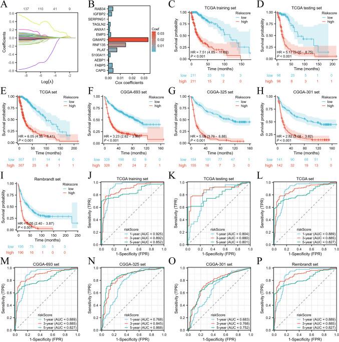 https://cdn.ncbi.nlm.nih.gov/pmc/blobs/5f07/12081808/771073653fb2/262_2025_4063_Fig5_HTML.jpg