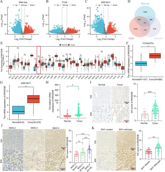 https://cdn.ncbi.nlm.nih.gov/pmc/blobs/5f07/12081808/dca0a673ee57/262_2025_4063_Fig1_HTML.jpg