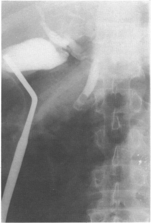 https://cdn.ncbi.nlm.nih.gov/pmc/blobs/5f08/2499325/a871b66a635a/annrcse01566-0049-b.jpg