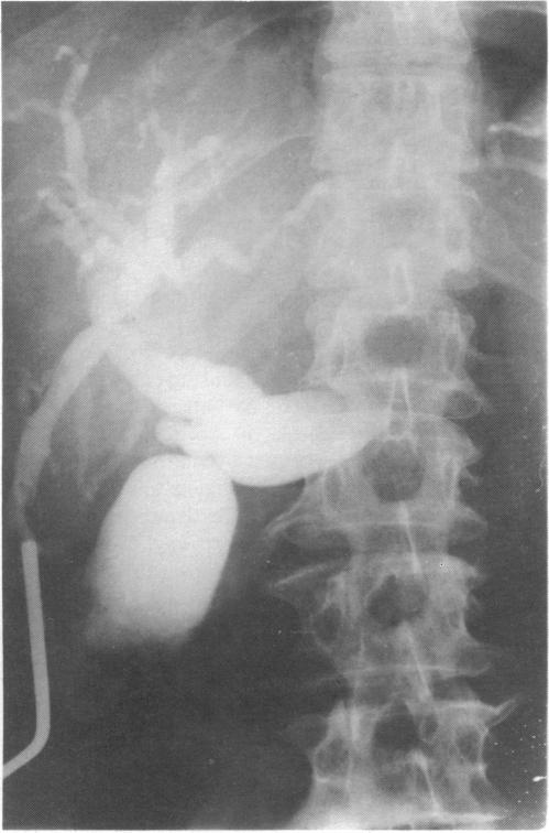 https://cdn.ncbi.nlm.nih.gov/pmc/blobs/5f08/2499325/ece4d887bc8d/annrcse01566-0050-a.jpg