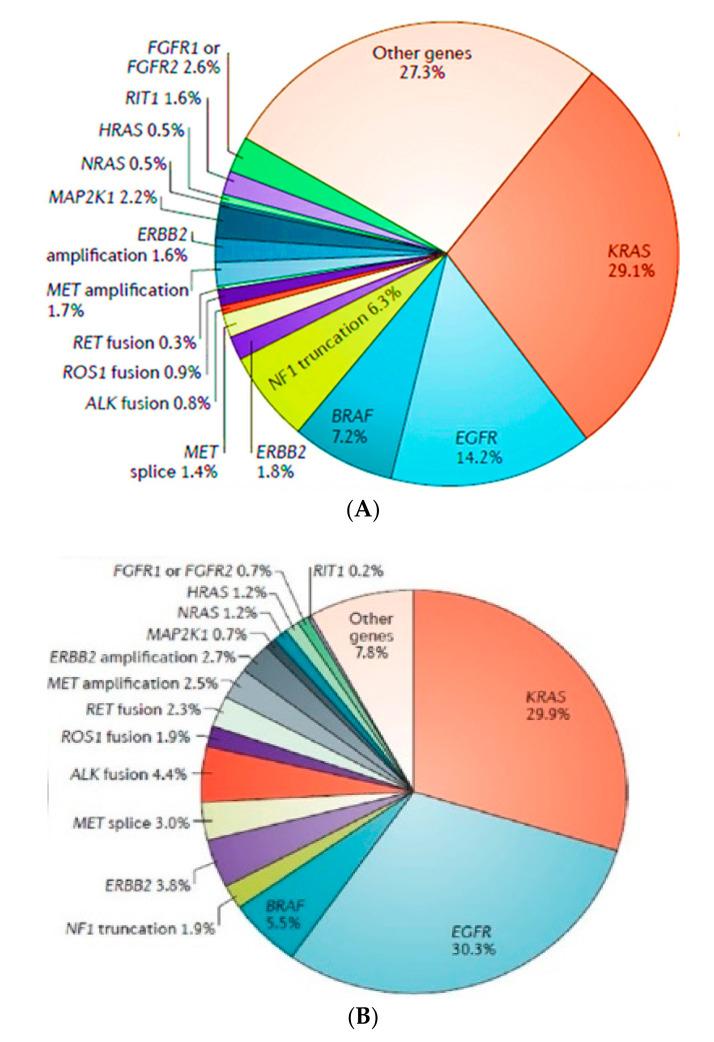 https://cdn.ncbi.nlm.nih.gov/pmc/blobs/5f09/7826874/3fa3f47d7314/ijms-22-00593-g004.jpg