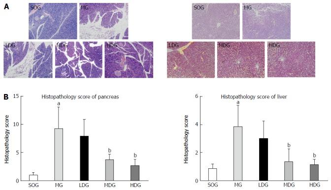 https://cdn.ncbi.nlm.nih.gov/pmc/blobs/5f0a/5330821/a070f05a2dd7/WJG-23-1367-g003.jpg
