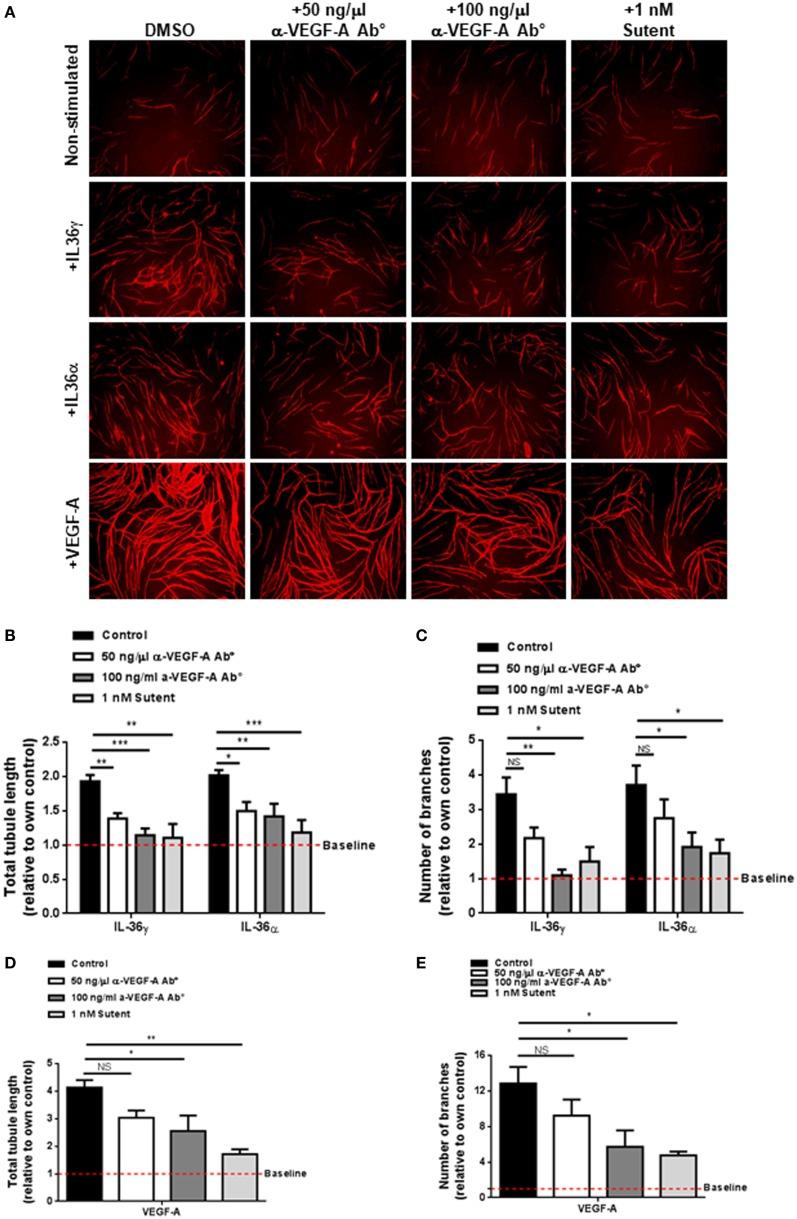 https://cdn.ncbi.nlm.nih.gov/pmc/blobs/5f0a/5834930/8684ed630590/fimmu-09-00200-g003.jpg