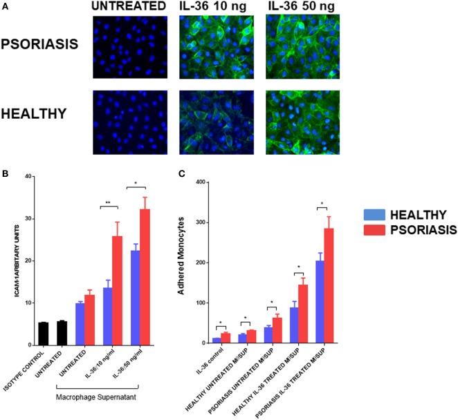https://cdn.ncbi.nlm.nih.gov/pmc/blobs/5f0a/5834930/894bf5811823/fimmu-09-00200-g006.jpg