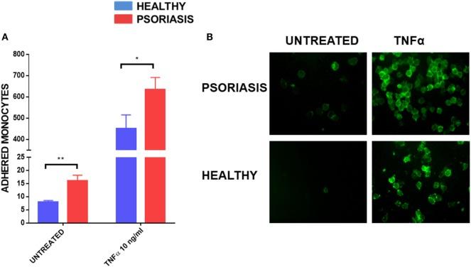 https://cdn.ncbi.nlm.nih.gov/pmc/blobs/5f0a/5834930/d6b9e232b457/fimmu-09-00200-g005.jpg