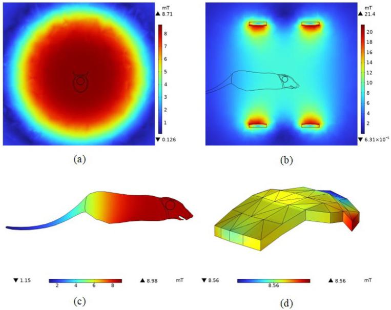 https://cdn.ncbi.nlm.nih.gov/pmc/blobs/5f0b/11273475/187728956ffd/bioengineering-11-00694-g005.jpg