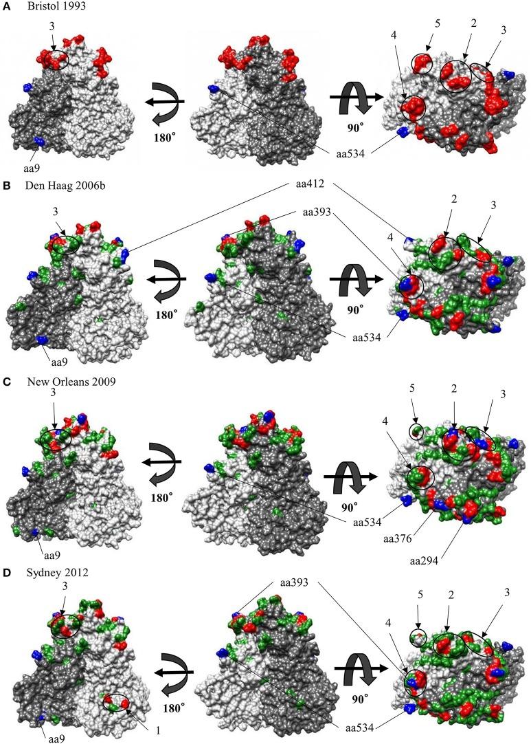 https://cdn.ncbi.nlm.nih.gov/pmc/blobs/5f0c/5723339/f19f38010d56/fmicb-08-02399-g0005.jpg