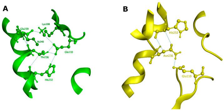 https://cdn.ncbi.nlm.nih.gov/pmc/blobs/5f0e/11118236/076500640f68/biomedicines-12-00929-g007.jpg