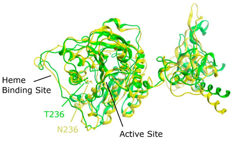https://cdn.ncbi.nlm.nih.gov/pmc/blobs/5f0e/11118236/22e8e887cd32/biomedicines-12-00929-g006.jpg