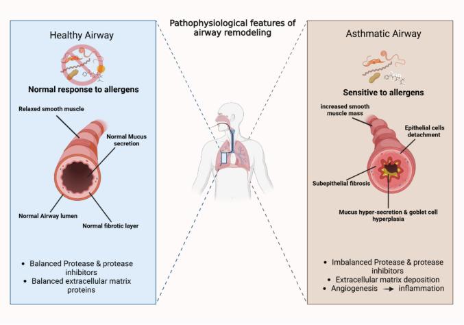 https://cdn.ncbi.nlm.nih.gov/pmc/blobs/5f0f/12011922/368d6bd5c90b/12016_2025_9045_Fig1_HTML.jpg