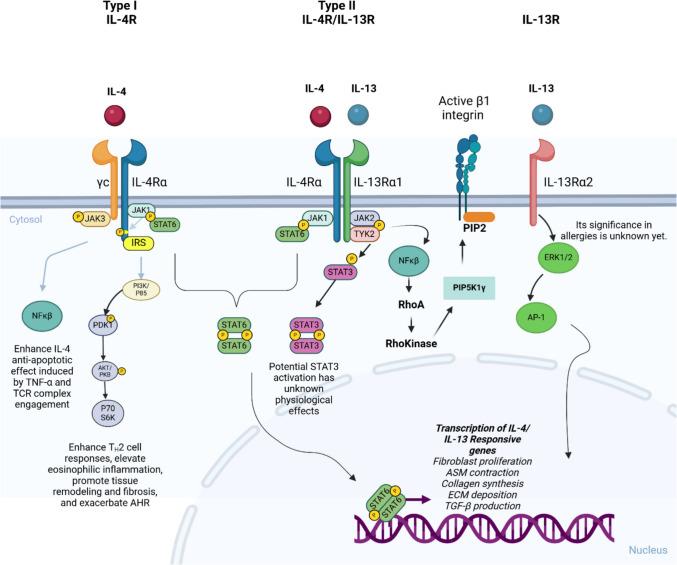 https://cdn.ncbi.nlm.nih.gov/pmc/blobs/5f0f/12011922/3a92a7039271/12016_2025_9045_Fig2_HTML.jpg