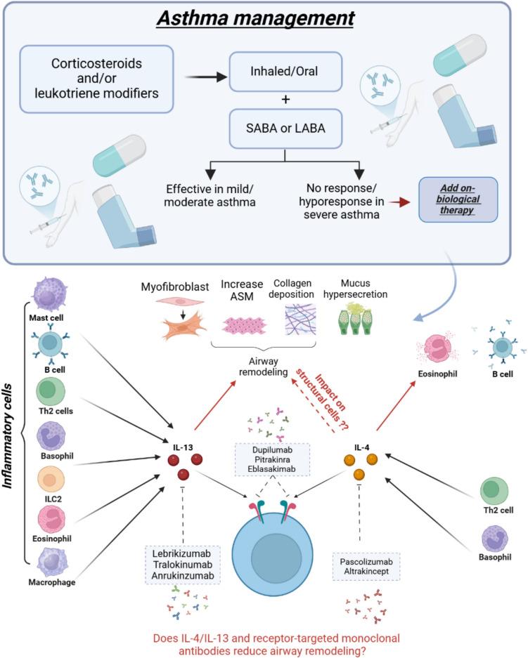 https://cdn.ncbi.nlm.nih.gov/pmc/blobs/5f0f/12011922/4516958c36e5/12016_2025_9045_Fig3_HTML.jpg