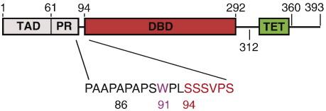 https://cdn.ncbi.nlm.nih.gov/pmc/blobs/5f0f/3176915/4d3989fb078a/gr1.jpg