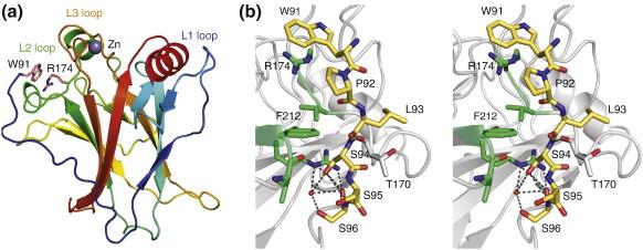 https://cdn.ncbi.nlm.nih.gov/pmc/blobs/5f0f/3176915/8d75ed2b848b/gr3.jpg