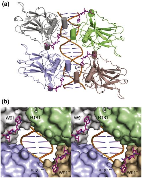 https://cdn.ncbi.nlm.nih.gov/pmc/blobs/5f0f/3176915/edfd463a10ee/gr6.jpg
