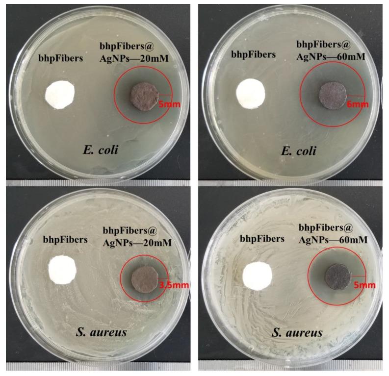 https://cdn.ncbi.nlm.nih.gov/pmc/blobs/5f0f/6803989/d95c98dbcf05/materials-12-03101-g006.jpg
