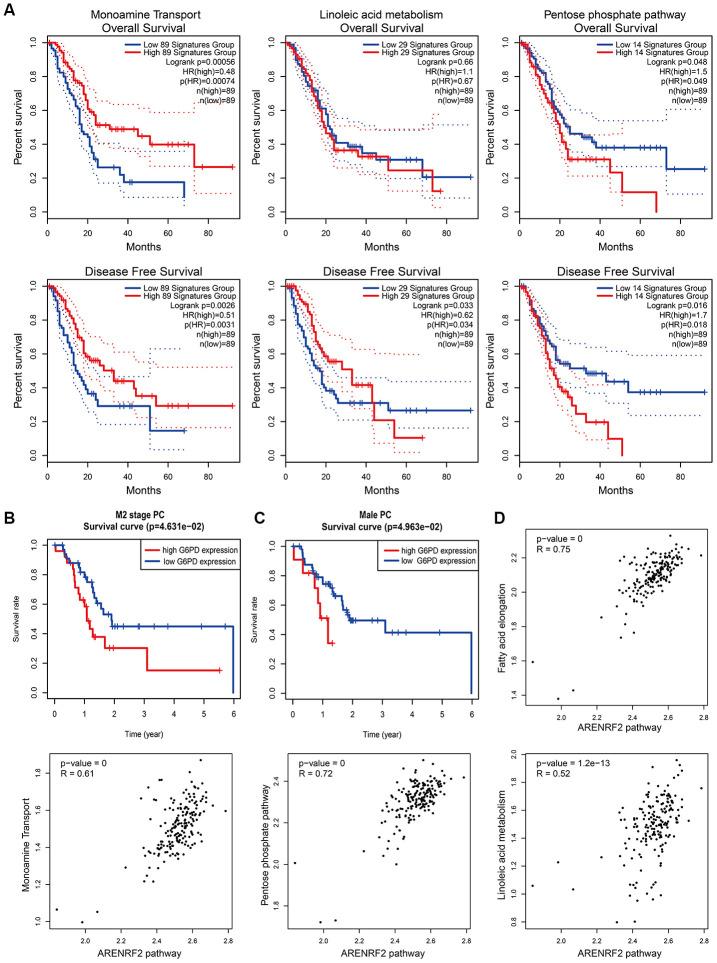 https://cdn.ncbi.nlm.nih.gov/pmc/blobs/5f12/7746356/9ef98d5af7fa/aging-12-103965-g005.jpg