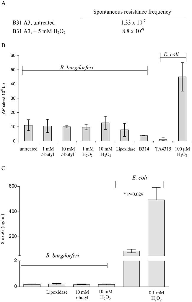https://cdn.ncbi.nlm.nih.gov/pmc/blobs/5f14/2327290/72b25f7099f2/mmi0068-0786-f2.jpg