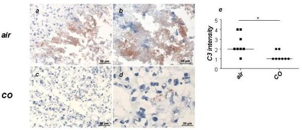 https://cdn.ncbi.nlm.nih.gov/pmc/blobs/5f16/3837472/39bd9aa61f42/2045-9912-2-4-7.jpg