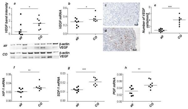 https://cdn.ncbi.nlm.nih.gov/pmc/blobs/5f16/3837472/e930b2c39b11/2045-9912-2-4-5.jpg