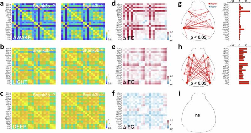 https://cdn.ncbi.nlm.nih.gov/pmc/blobs/5f17/12009330/5c61517839d0/41398_2025_3377_Fig3_HTML.jpg