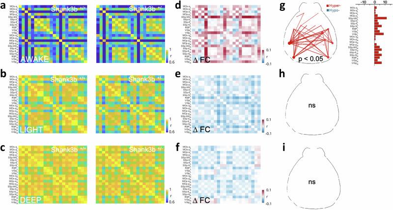https://cdn.ncbi.nlm.nih.gov/pmc/blobs/5f17/12009330/b6d1d51e8d17/41398_2025_3377_Fig2_HTML.jpg