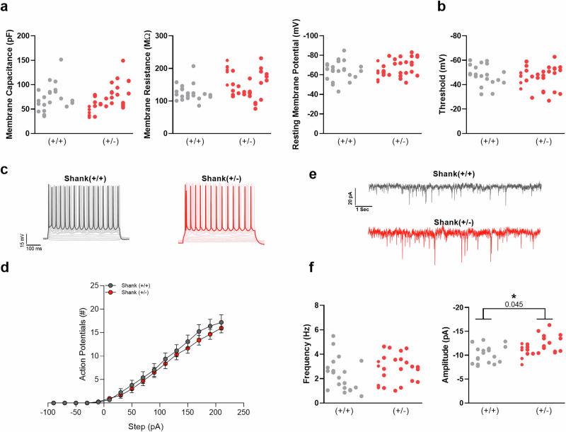 https://cdn.ncbi.nlm.nih.gov/pmc/blobs/5f17/12009330/dd72660c3b90/41398_2025_3377_Fig6_HTML.jpg