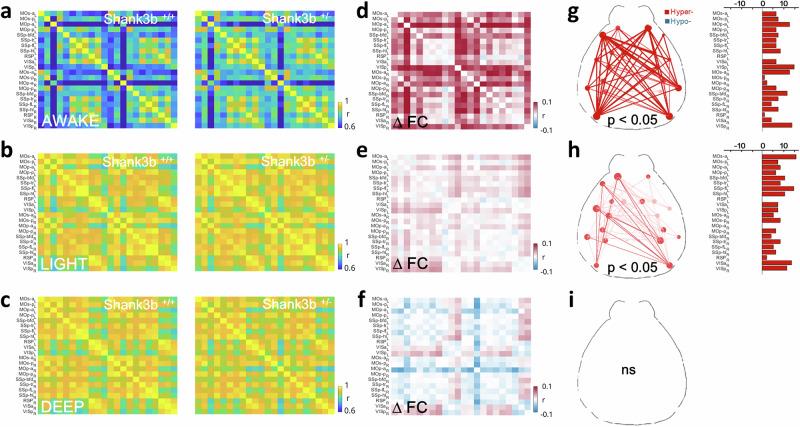 https://cdn.ncbi.nlm.nih.gov/pmc/blobs/5f17/12009330/ff335dc5d9d3/41398_2025_3377_Fig4_HTML.jpg