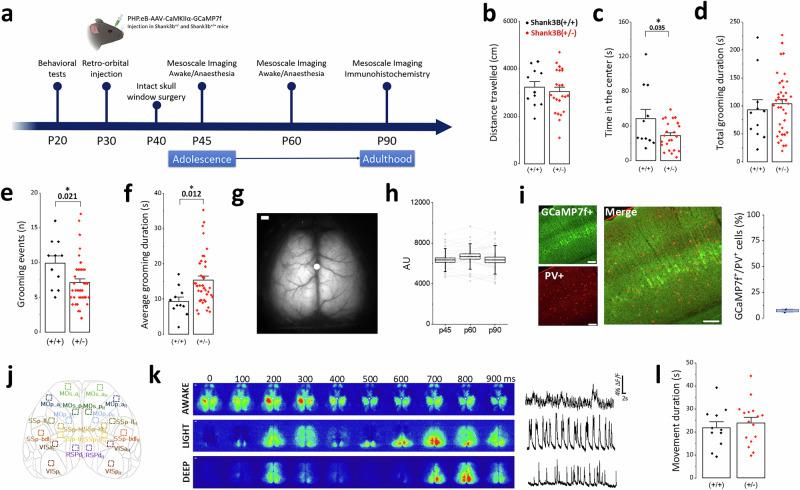 https://cdn.ncbi.nlm.nih.gov/pmc/blobs/5f17/12009330/ff4b115a222b/41398_2025_3377_Fig1_HTML.jpg