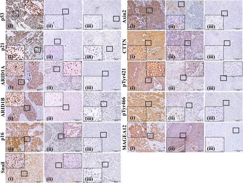 https://cdn.ncbi.nlm.nih.gov/pmc/blobs/5f19/9632077/cd76d02a0f41/12885_2022_10213_Fig2_HTML.jpg