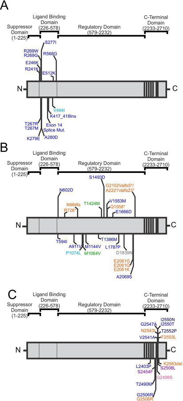 https://cdn.ncbi.nlm.nih.gov/pmc/blobs/5f1d/7939385/08f2847c736d/gr1.jpg