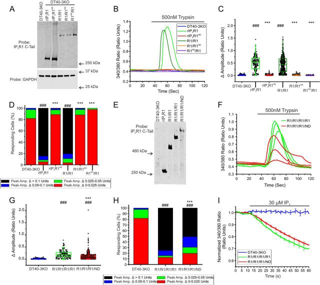 https://cdn.ncbi.nlm.nih.gov/pmc/blobs/5f1d/7939385/3e494baf6462/gr7.jpg