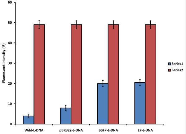 https://cdn.ncbi.nlm.nih.gov/pmc/blobs/5f1e/2890663/c7d6f128177a/1479-0556-8-3-2.jpg