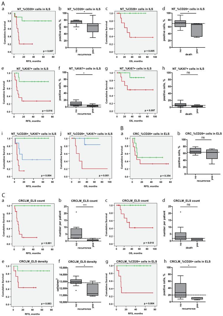 https://cdn.ncbi.nlm.nih.gov/pmc/blobs/5f22/7692185/8f544834aeb5/cancers-12-03117-g008.jpg
