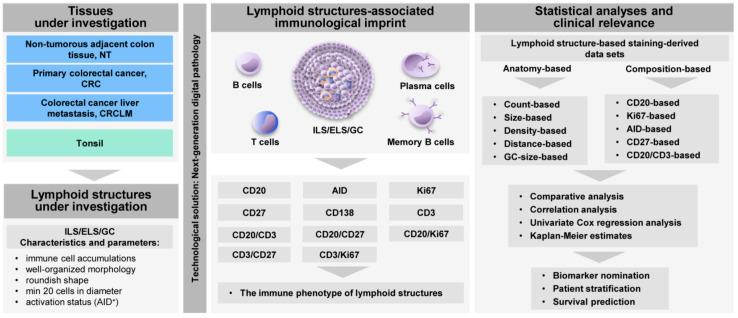 https://cdn.ncbi.nlm.nih.gov/pmc/blobs/5f22/7692185/a84078ff03f0/cancers-12-03117-g001.jpg