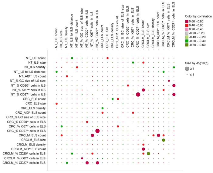 https://cdn.ncbi.nlm.nih.gov/pmc/blobs/5f22/7692185/bf224a8190bc/cancers-12-03117-g006.jpg